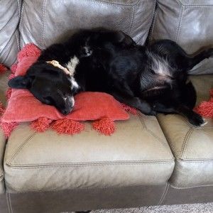 Meet your Posher, Janice